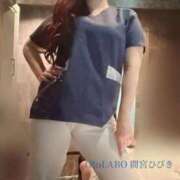 ヒメ日記 2026/01/13 08:49 投稿 間宮ひびき OtoLABO～前立腺マッサージ（ドライオーガズム）専門店～