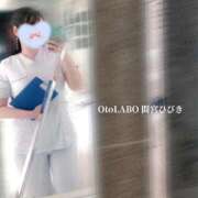 ヒメ日記 2026/01/29 10:49 投稿 間宮ひびき OtoLABO～前立腺マッサージ（ドライオーガズム）専門店～