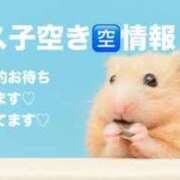 フィス子 ２９日３０日 奴隷コレクション