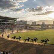 ヒメ日記 2025/12/28 11:00 投稿 もなか 奥鉄オクテツ東京店（デリヘル市場）