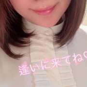 ヒメ日記 2026/02/14 18:50 投稿 もなか 奥鉄オクテツ東京店（デリヘル市場）