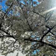 ヒメ日記 2026/04/03 14:05 投稿 もなか 奥鉄オクテツ東京店（デリヘル市場）