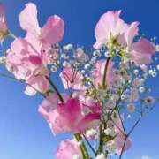 ヒメ日記 2025/12/22 15:56 投稿 ほなみ 成田人妻花壇