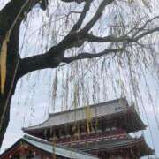 ヒメ日記 2026/01/05 20:42 投稿 ほなみ 成田人妻花壇