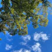 ヒメ日記 2026/03/18 15:11 投稿 ほなみ 成田人妻花壇