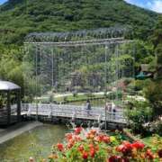 ヒメ日記 2026/03/20 22:14 投稿 ほなみ 成田人妻花壇