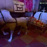 ひなた ありがとうございます✨ 新潟市鳥屋野潟ちゃんこ