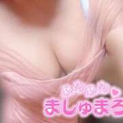 ヒメ日記 2026/02/21 15:37 投稿 はなの Ace(エース)