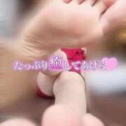 ヒメ日記 2026/04/14 11:09 投稿 はなの Ace(エース)