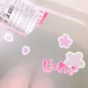 ヒメ日記 2026/04/15 19:31 投稿 はなの Ace(エース)