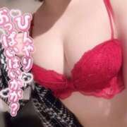 ヒメ日記 2026/08/14 10:04 投稿 はなの Ace(エース)