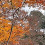 ヒメ日記 2025/12/12 20:40 投稿 かんな 谷町人妻ゴールデン倶楽部