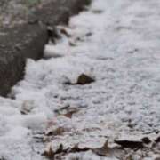 ヒメ日記 2026/02/09 10:30 投稿 かんな 谷町人妻ゴールデン倶楽部