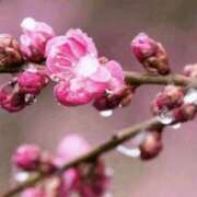 かんな おはようございます?? 谷町人妻ゴールデン倶楽部