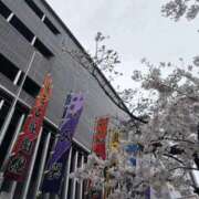 ヒメ日記 2026/04/01 12:05 投稿 かんな 谷町人妻ゴールデン倶楽部