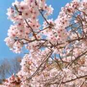 ヒメ日記 2026/04/06 13:30 投稿 かんな 谷町人妻ゴールデン倶楽部