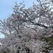 るか 急遽、、、 大宮人妻デリヘル～大人の事情～