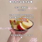 つむぎ 予定 秋葉原鑑賞ガール