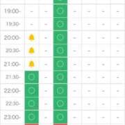 ヒメ日記 2025/12/12 20:27 投稿 つつじ 電マナイザー イラマチオン