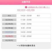 ヒメ日記 2026/02/03 16:00 投稿 あゆ 石庭