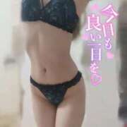 ると（最強テクニック×イラマ！ 寒いしぬくぬくしよ？🐹❤️ ハニービー（Honey Bee）