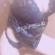 ヒメ日記 2026/02/08 08:09 投稿 うた SUZUME