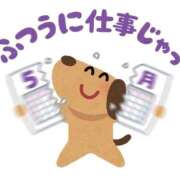 ヒメ日記 2026/02/27 19:09 投稿 うた SUZUME