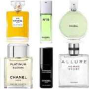 ヒメ日記 2026/03/05 17:49 投稿 うた SUZUME