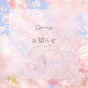 ヒメ日記 2026/03/20 23:19 投稿 うた SUZUME