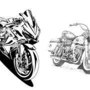 ヒメ日記 2026/03/21 09:09 投稿 うた SUZUME