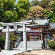 ヒメ日記 2026/03/25 19:44 投稿 うた SUZUME