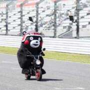 ヒメ日記 2026/05/06 15:07 投稿 うた SUZUME