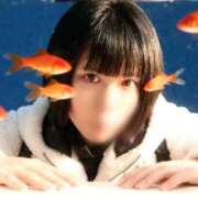 ヒメ日記 2025/12/21 12:31 投稿 るき S PERO PERO NINE