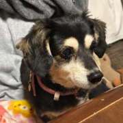 ヒメ日記 2026/03/24 19:42 投稿 ろむ デザインプリズム新宿