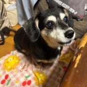 ヒメ日記 2026/08/13 00:09 投稿 ろむ デザインプリズム新宿