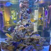 ヒメ日記 2025/12/04 13:57 投稿 北村 友美 人妻セレブ宮殿