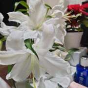 北村 友美 花🌸 人妻セレブ宮殿