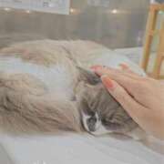 ヒメ日記 2025/12/09 16:52 投稿 北村 友美 人妻セレブ宮殿