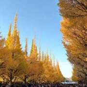 ヒメ日記 2025/12/19 18:11 投稿 らら【元グラドル最強美ボディ】 STELLA NEXT－ステラネクスト－