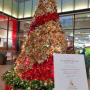 ヒメ日記 2025/12/12 21:57 投稿 真田余花 お姉さんCLUB