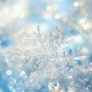 ヒメ日記 2025/12/13 23:19 投稿 真田余花 お姉さんCLUB