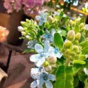 ヒメ日記 2026/01/07 23:34 投稿 真田余花 お姉さんCLUB