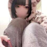 ヒメ日記 2025/12/13 10:22 投稿 みゆう ジャパンクラブ富士