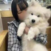 ヒメ日記 2026/01/12 13:52 投稿 みゆう ジャパンクラブ富士