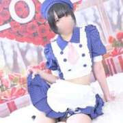 ヒメ日記 2026/01/29 11:52 投稿 みゆう ジャパンクラブ富士