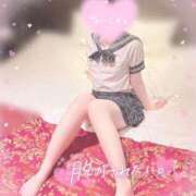 ヒメ日記 2025/12/07 18:13 投稿 ワラビ バニーコレクション秋田店