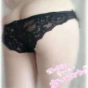 ヒメ日記 2025/12/12 18:13 投稿 ワラビ バニーコレクション秋田店