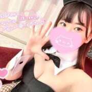 ヒメ日記 2025/12/13 07:17 投稿 ワラビ バニーコレクション秋田店