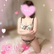 ヒメ日記 2025/12/14 08:03 投稿 ワラビ バニーコレクション秋田店