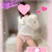 ヒメ日記 2025/12/16 18:19 投稿 ワラビ バニーコレクション秋田店